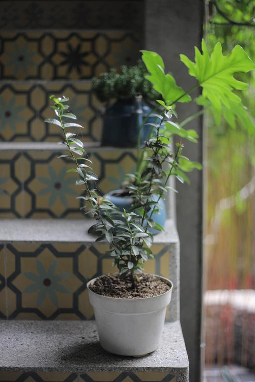 באנטול Rumah Senjakala מראה חיצוני תמונה